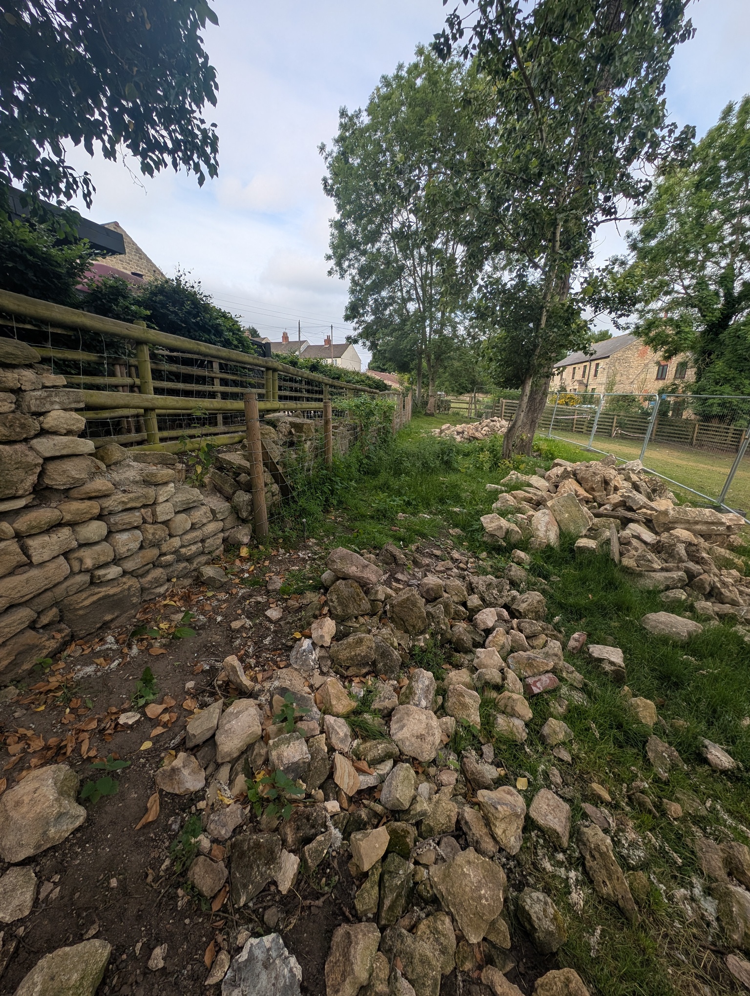 Stone survey and condition inspection